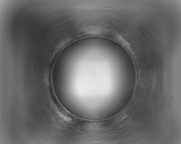 X0000071770106200607071312