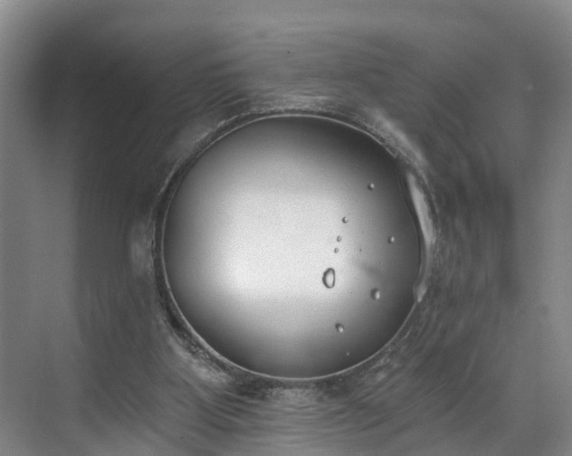 X0000071770107200607071312