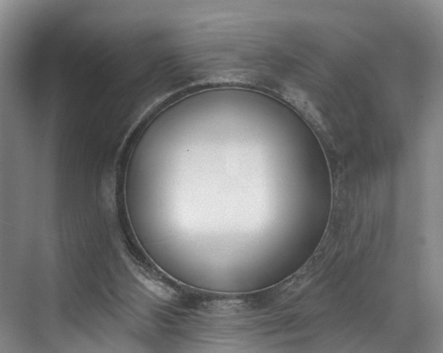 X0000071770108200607071312