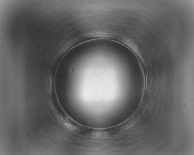 X0000071770109200607071312