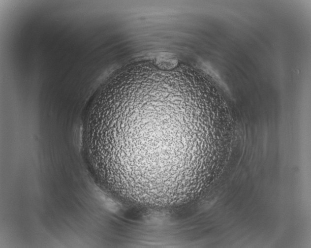 X0000071770110200607071312