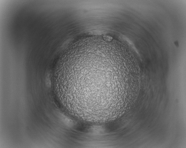 X0000071770114200607071312