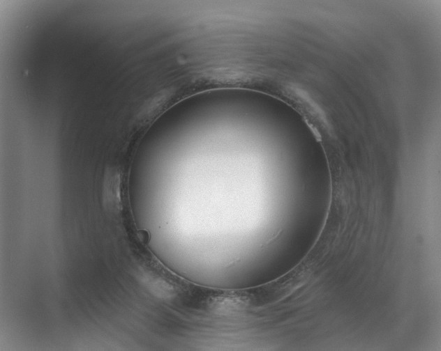 X0000071770115200607071312