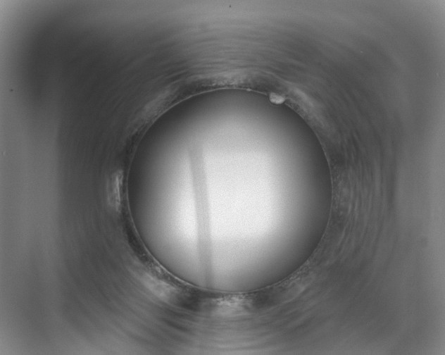 X0000071770118200607071312