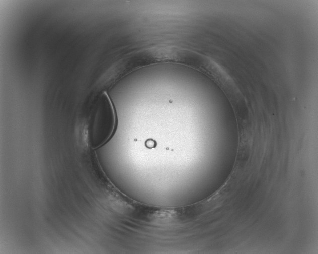 X0000071770124200607071311