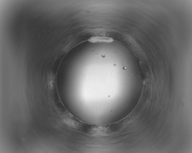 X0000071770125200607071311