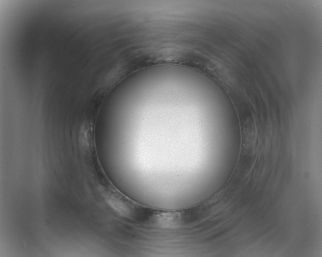 X0000071770126200607071311