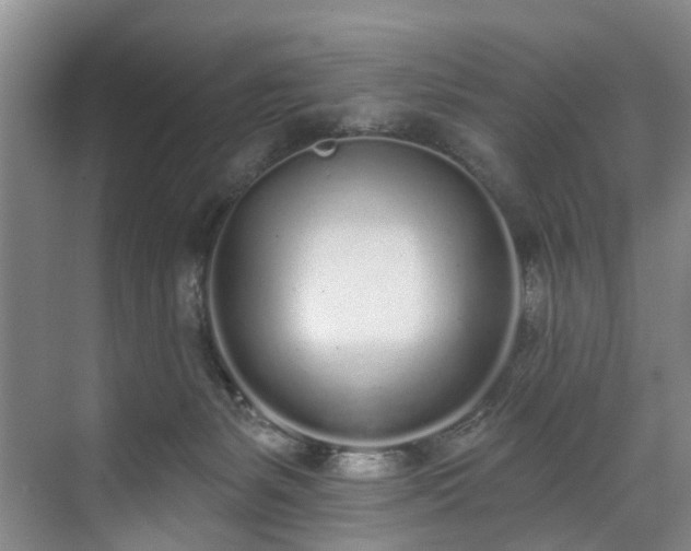 X0000071770127200607071311