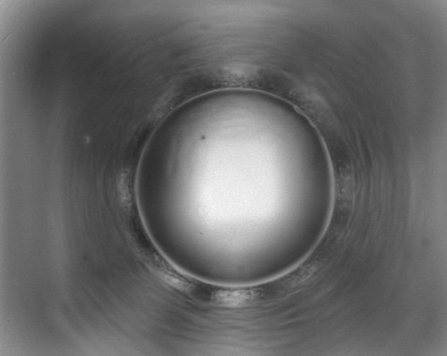 X0000071770131200607071311