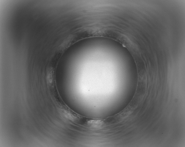 X0000071770133200607071311