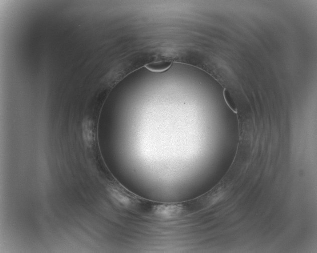 X0000071770135200607071311