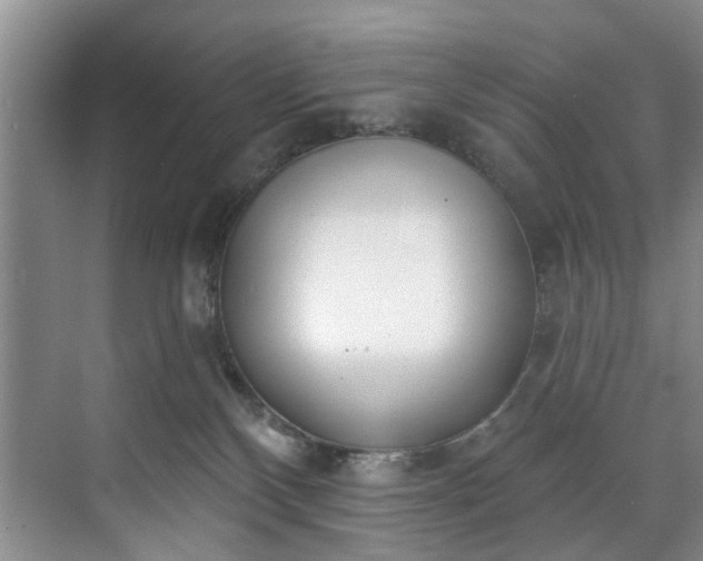 X0000071770136200607071311