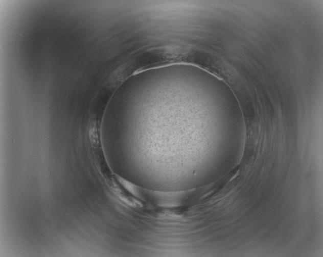 X0000071770137200607071311