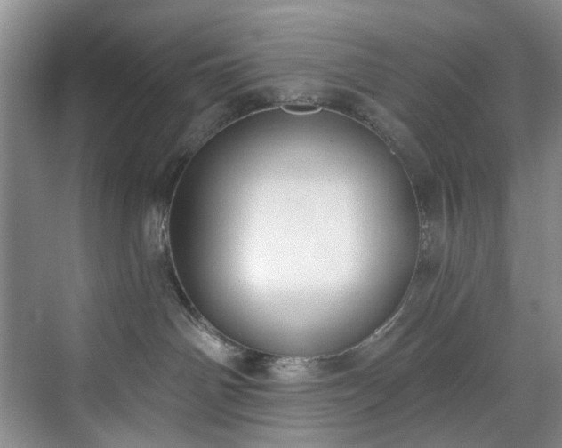 X0000071770142200607071311