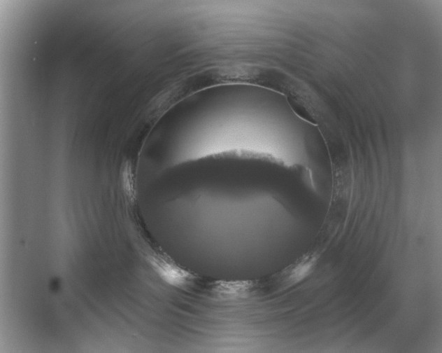 X0000071770143200607071311