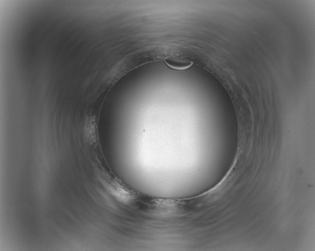 X0000071770144200607071311