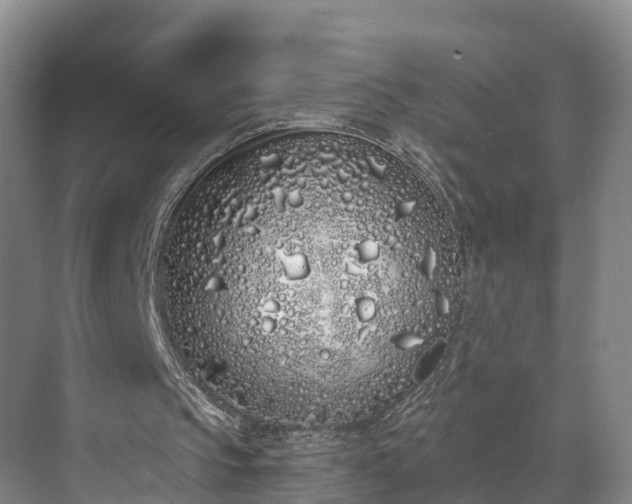 X0000071770145200607071310