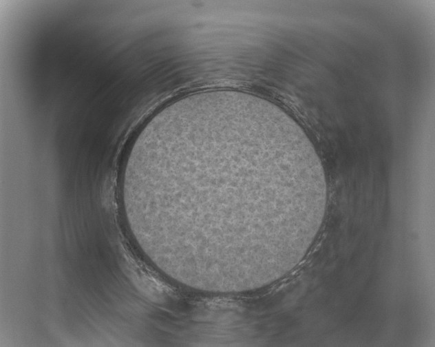 X0000071770146200607071310