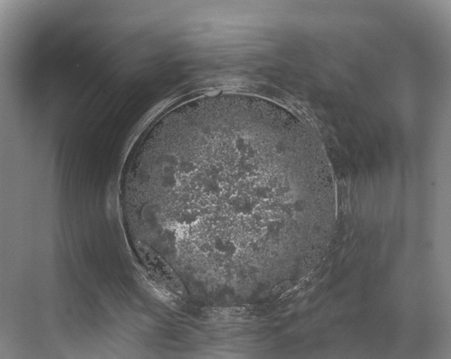 X0000071770147200607071310