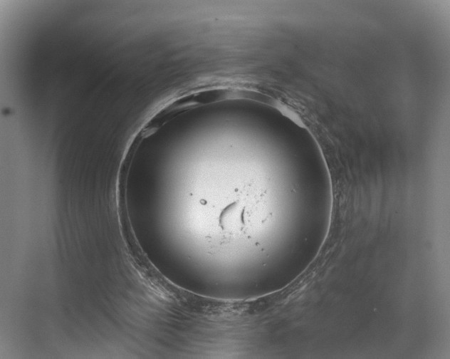 X0000071770148200607071310