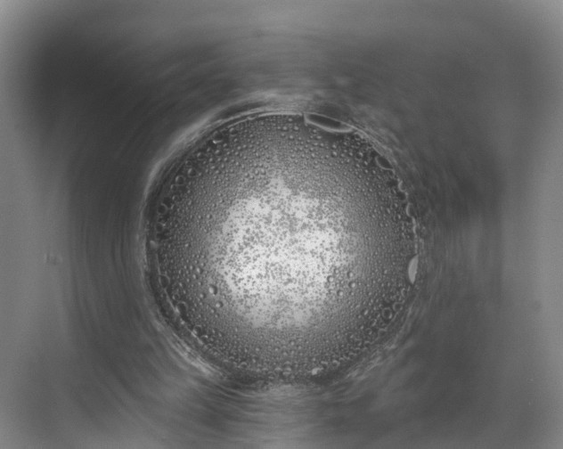 X0000071770149200607071310