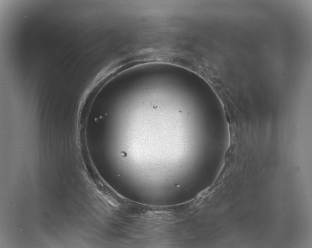 X0000071770150200607071310