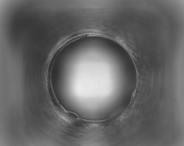 X0000071770151200607071310