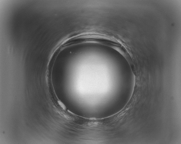 X0000071770152200607071310