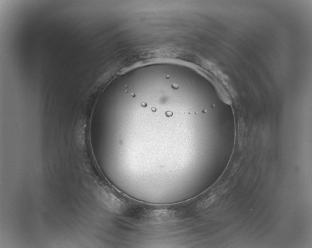 X0000071770153200607071310