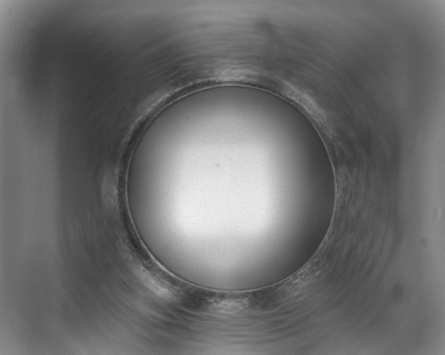 X0000071770155200607071310