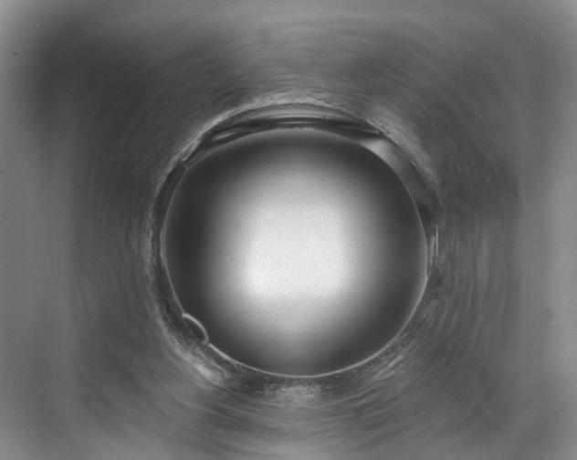 X0000071770156200607071310