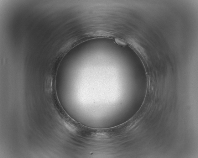 X0000071770157200607071310