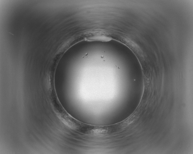 X0000071770158200607071310