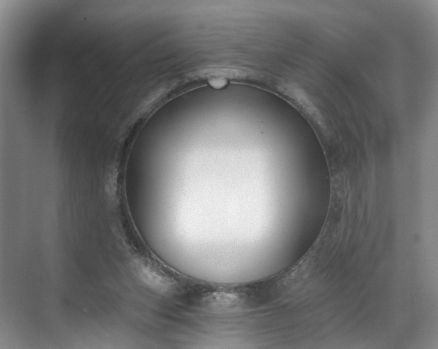 X0000071770159200607071311