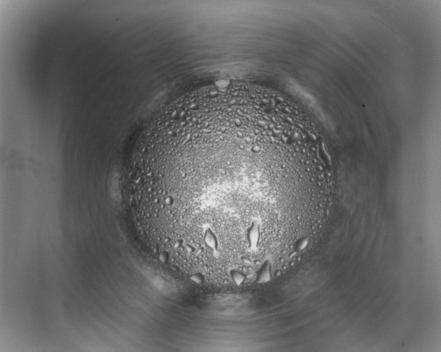 X0000071770161200607071311