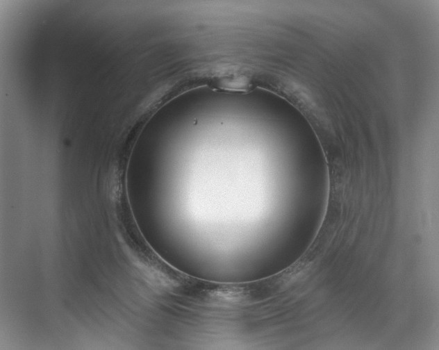 X0000071770164200607071311