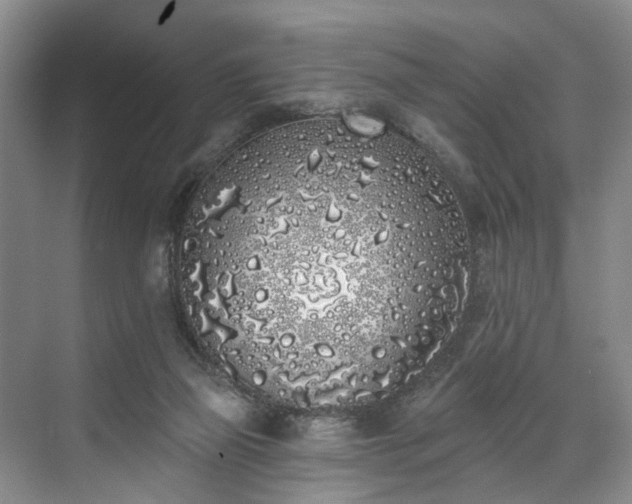 X0000071770165200607071311