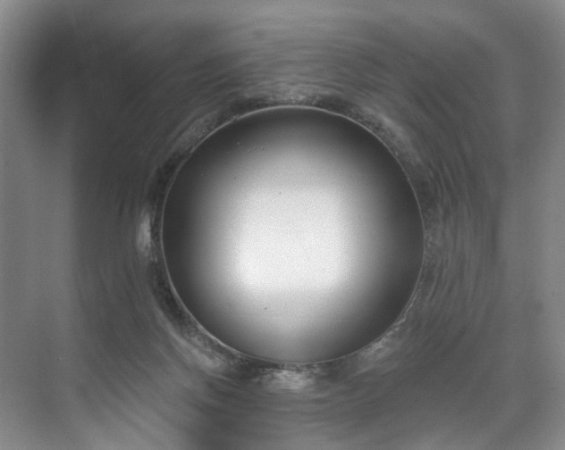 X0000071770166200607071311