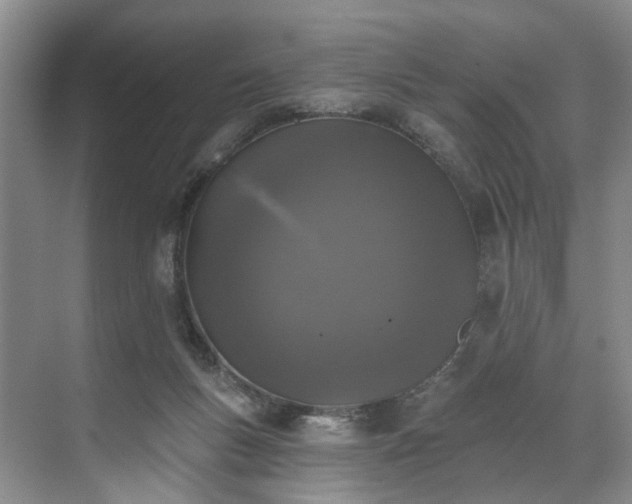 X0000071770167200607071311