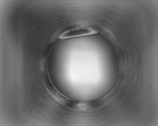 X0000071770171200607071311