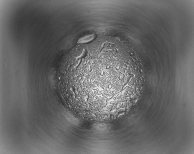 X0000071770181200607071311