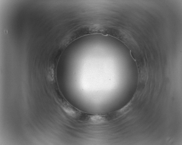 X0000071770183200607071311