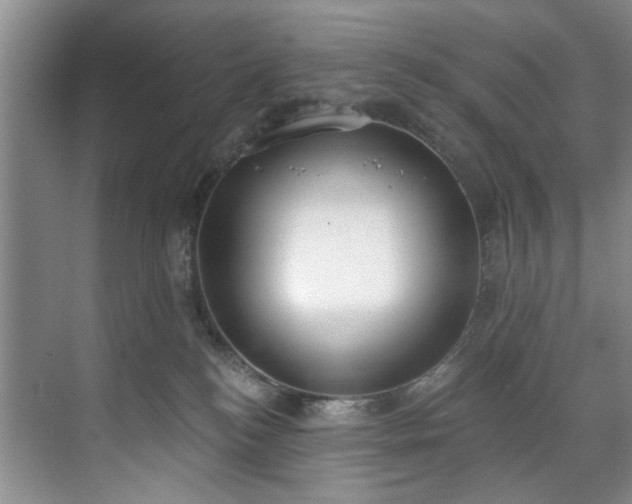 X0000071770184200607071311