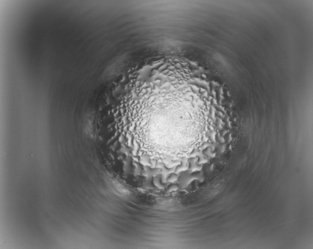 X0000071770185200607071311