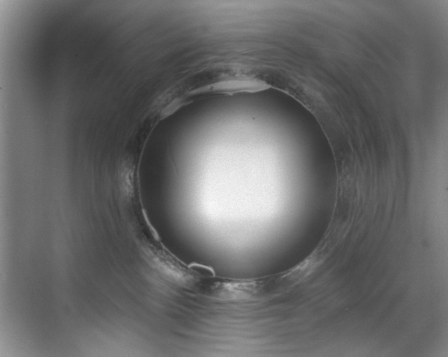 X0000071770188200607071311