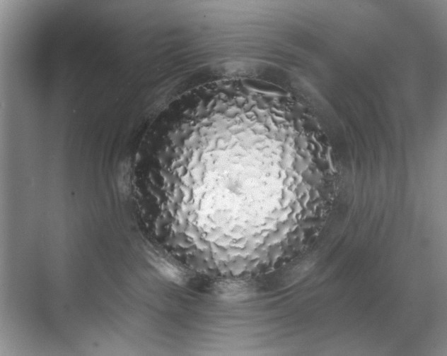 X0000071770189200607071311