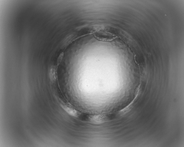 X0000071770191200607071311