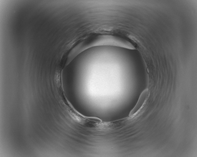 X0000071770192200607071311