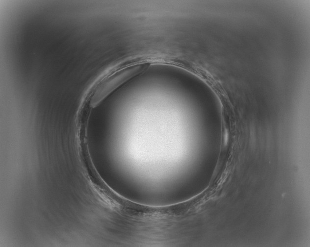 X0000071770197200607071310