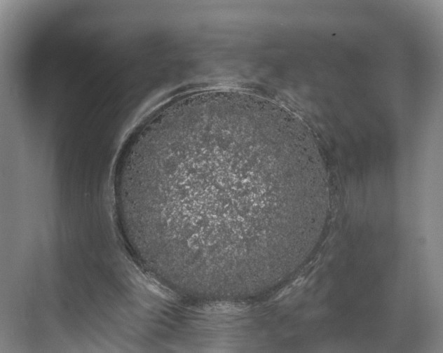 X0000071770198200607071310